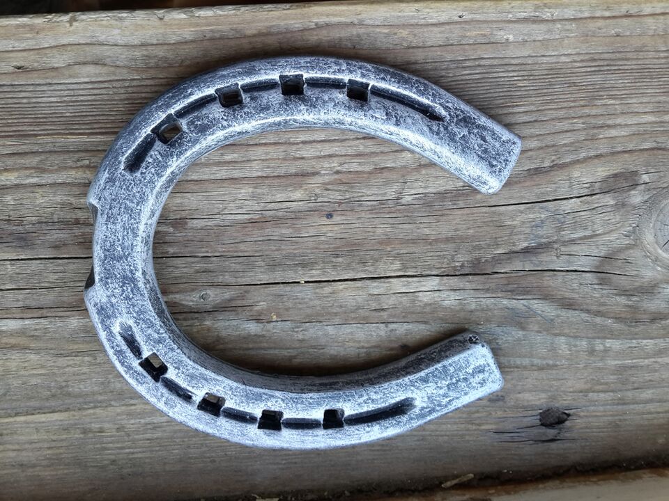 horseshoe as a charm of happiness