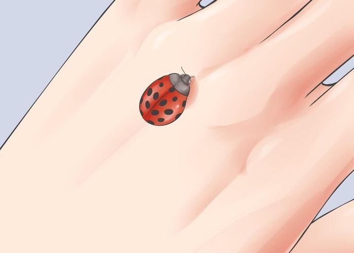 ladybug as good luck talisman