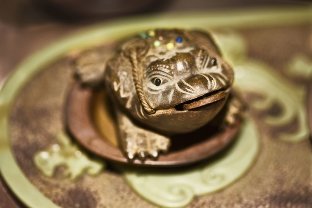 Amulet-the toad of the luck and wealth of the